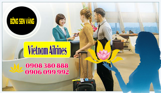 Bay quốc tế siêu rẻ cùng thu vàng Vietnam Airlines