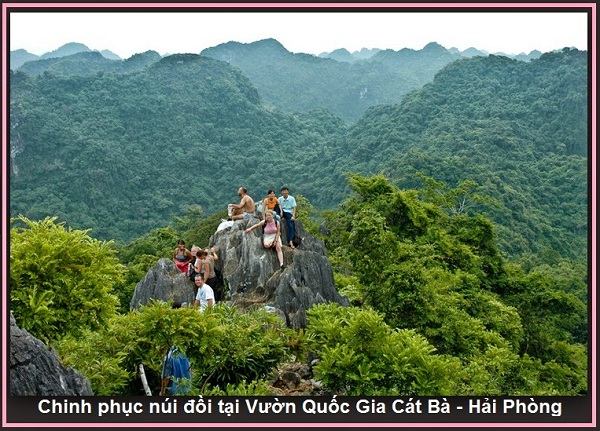 Vé máy bay Vietnam Airlines đi Hải Phòng